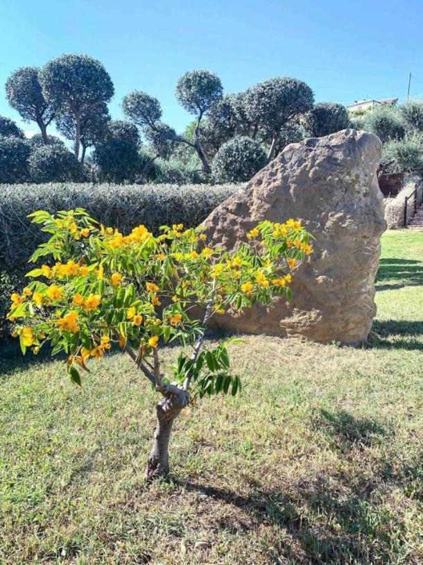 סילבי מרינה Thevilla Holiday מראה חיצוני תמונה